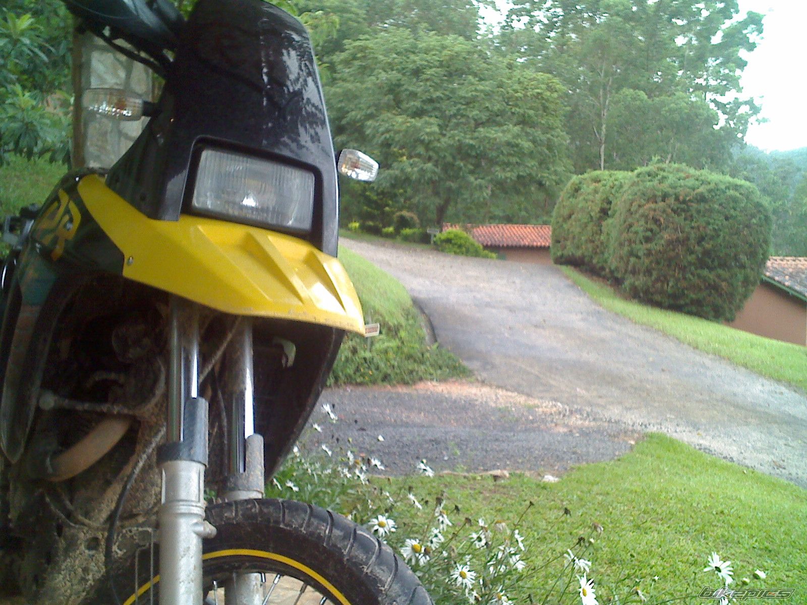 Photo 1518400
