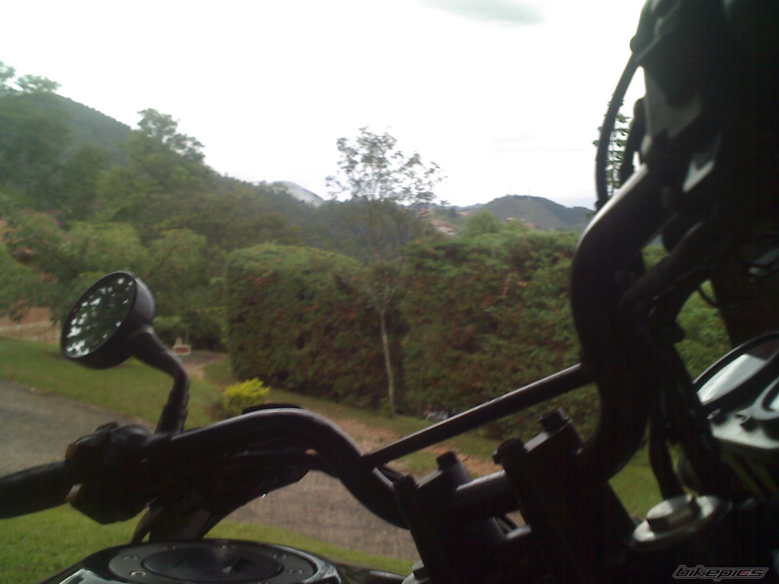 Photo 1518401