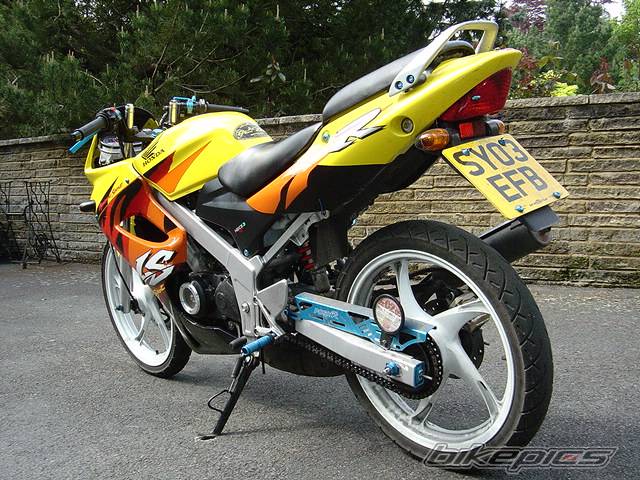 Photo 151841