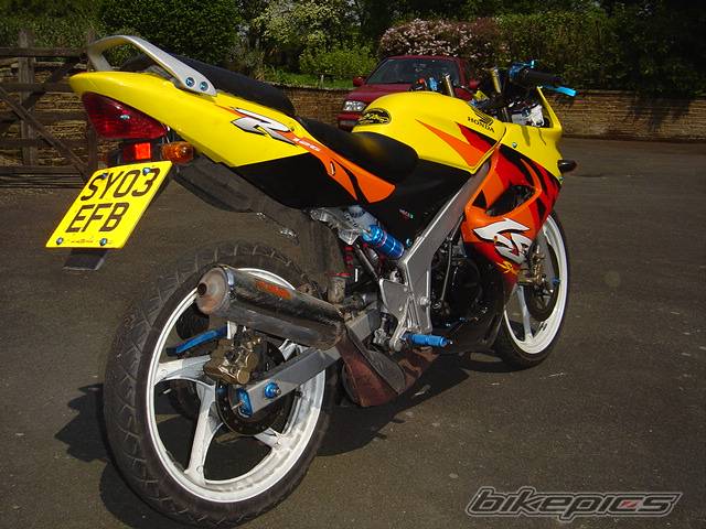 Photo 151842