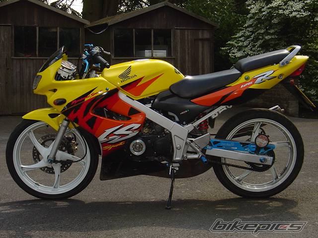 Photo 151843