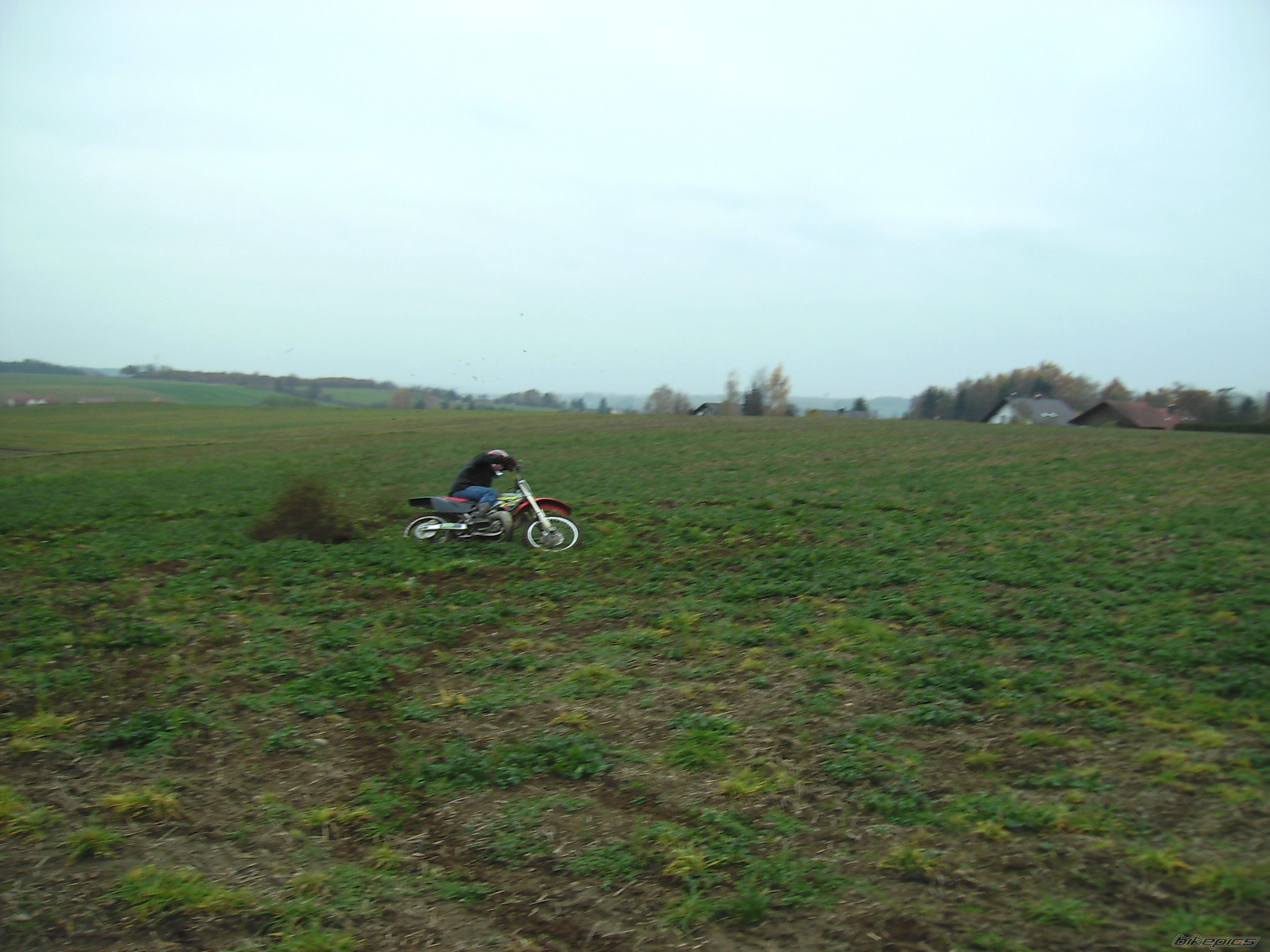 Photo 1518431