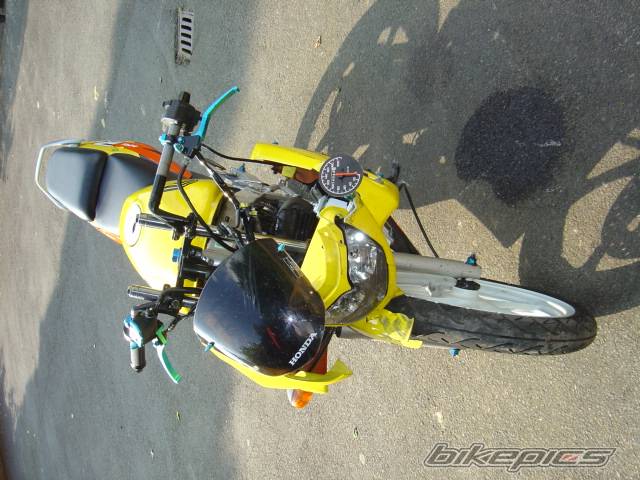 Photo 151854