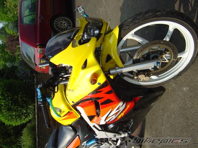 Photo 151855