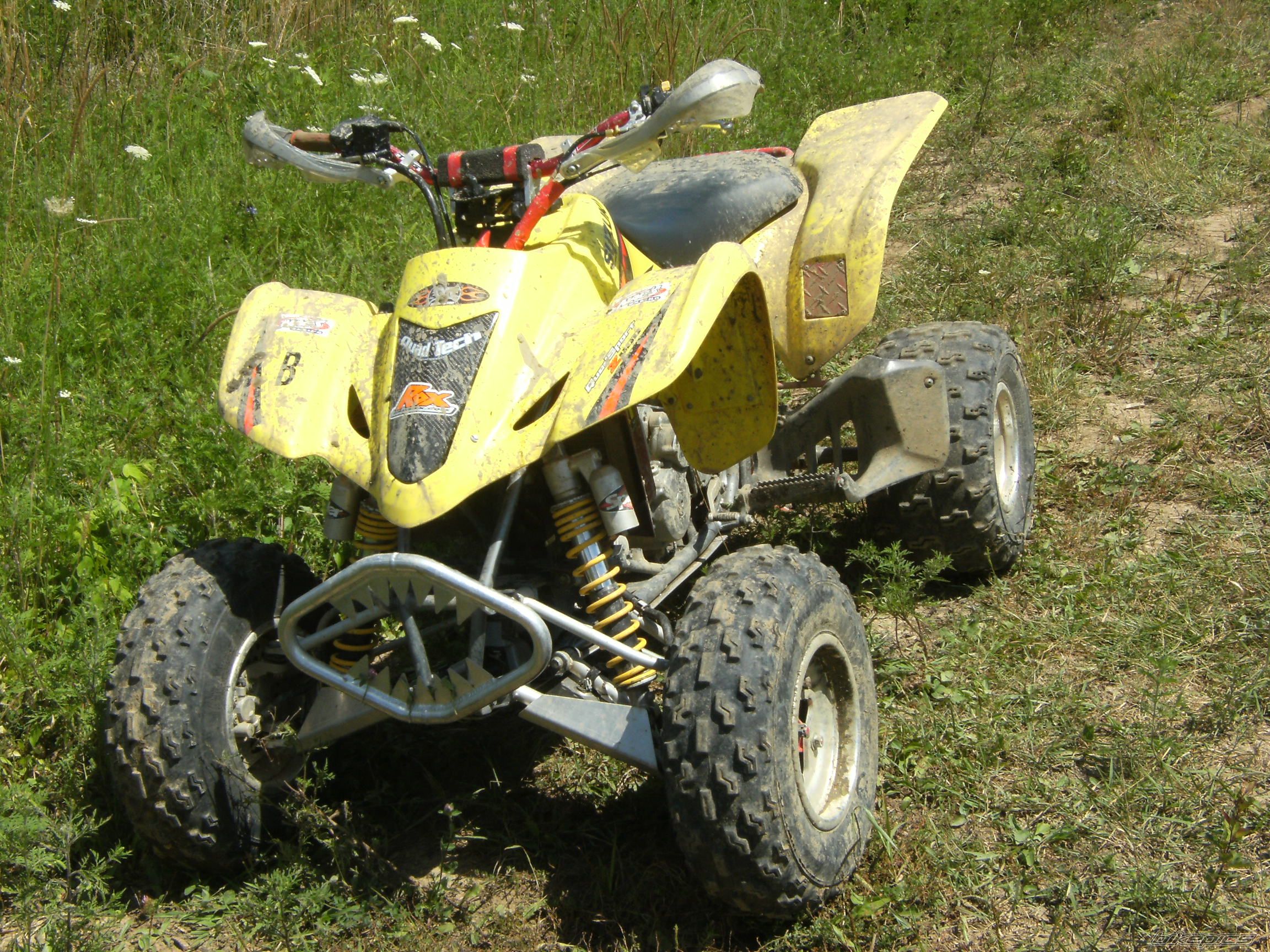 Photo 1518646