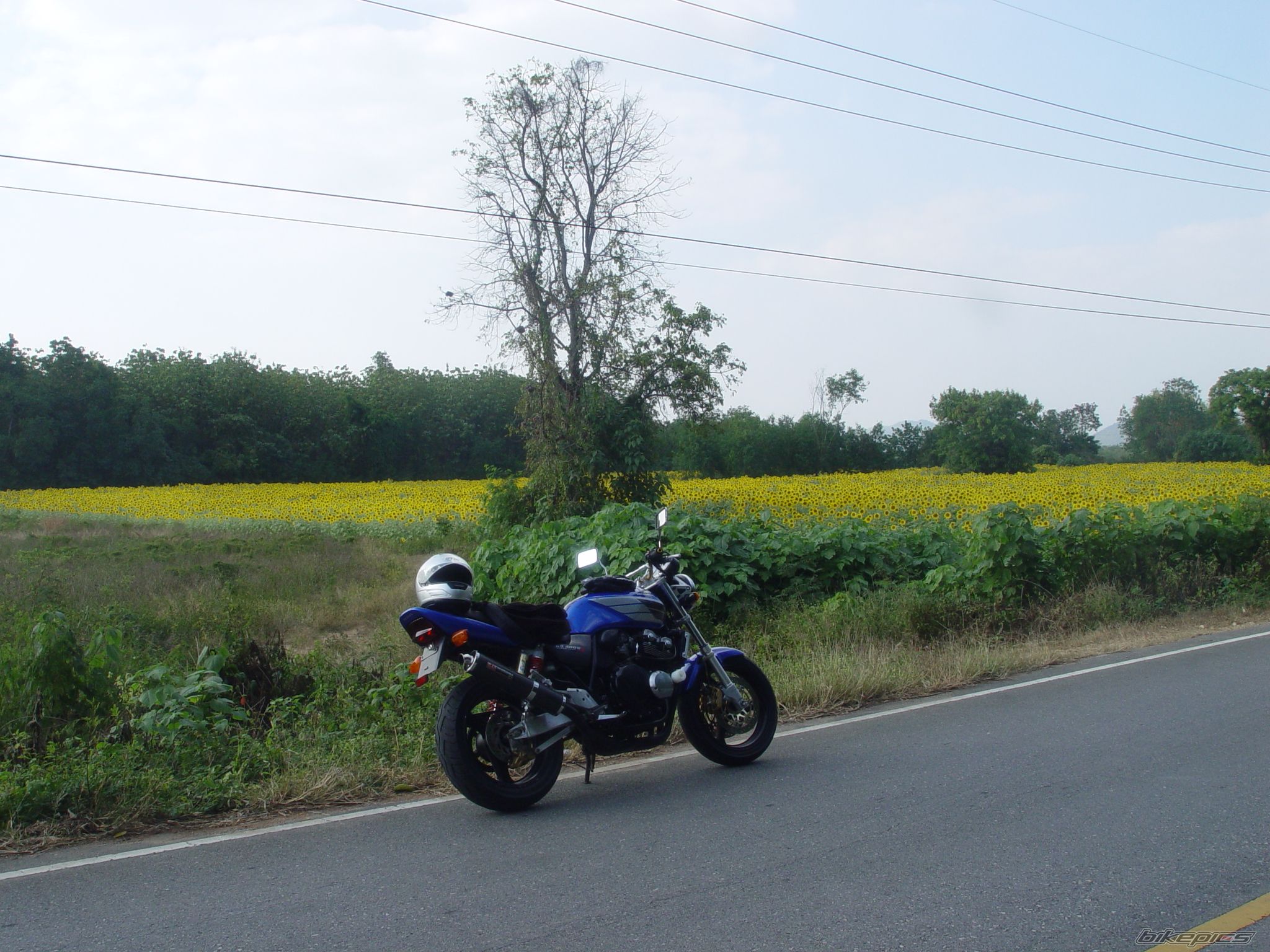 Bike Photo 1518669