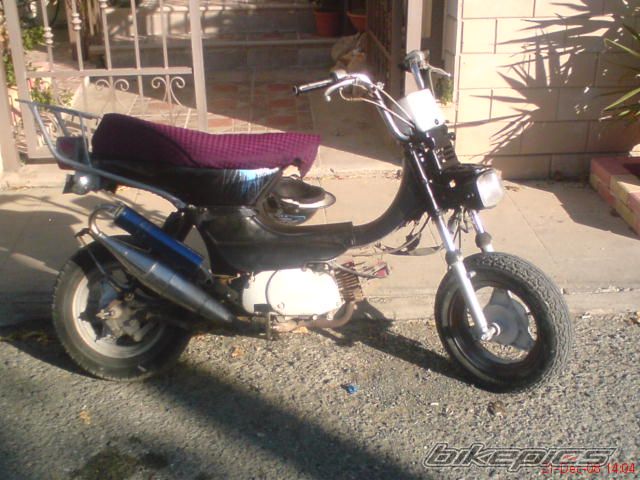 Photo 1518679