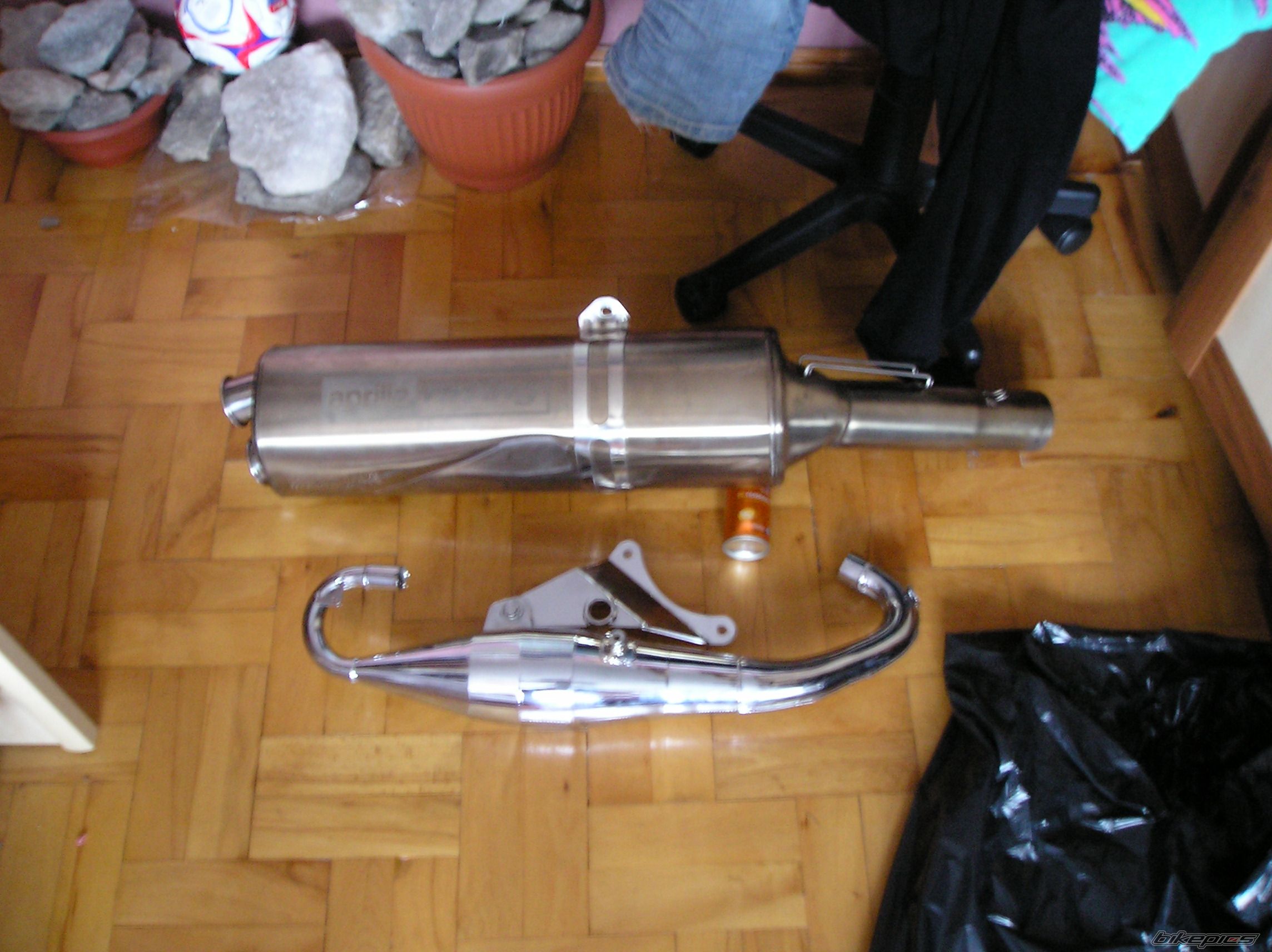 Photo 1518774