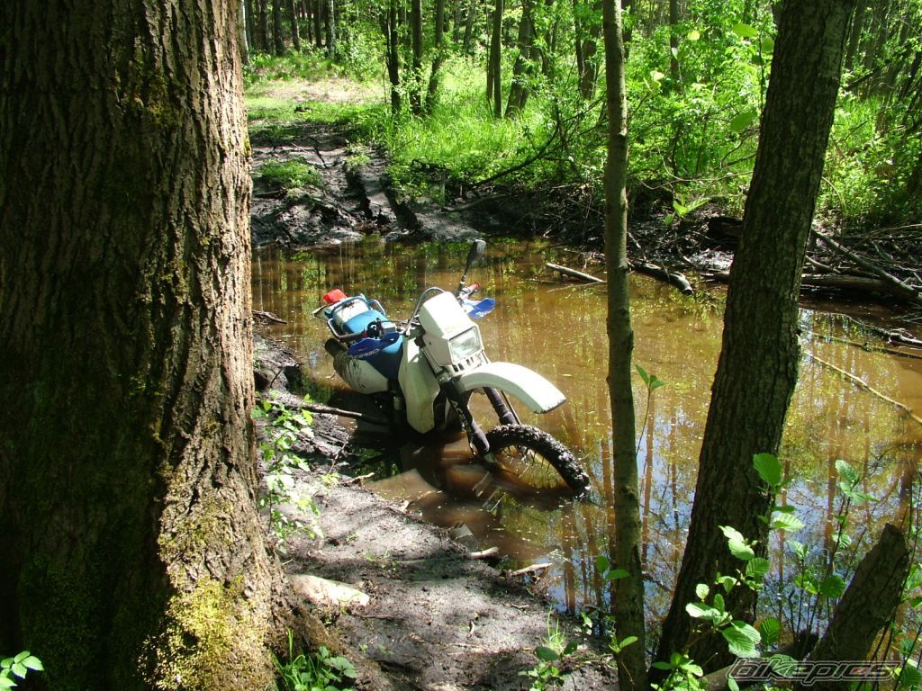 Bike Photo 1518785