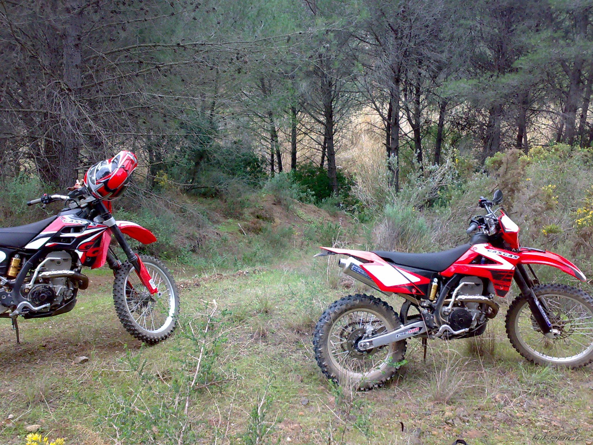 Photo 1518810