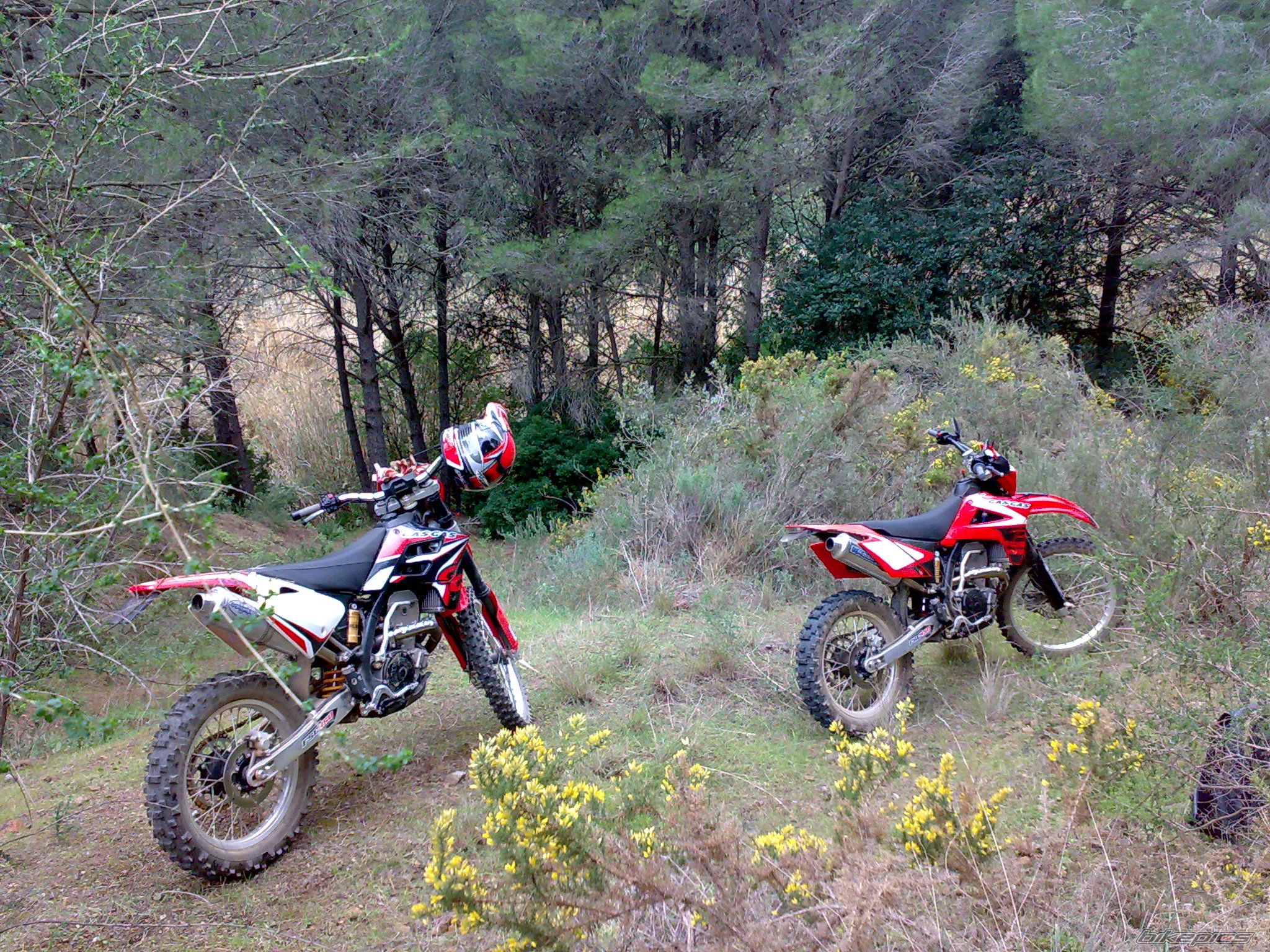 Photo 1518811