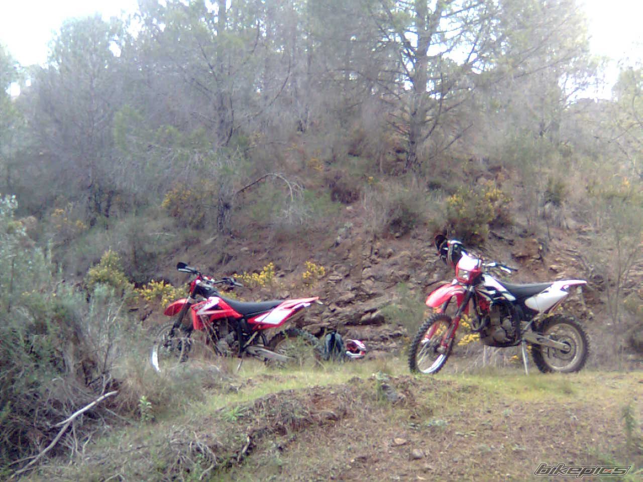 Photo 1518813