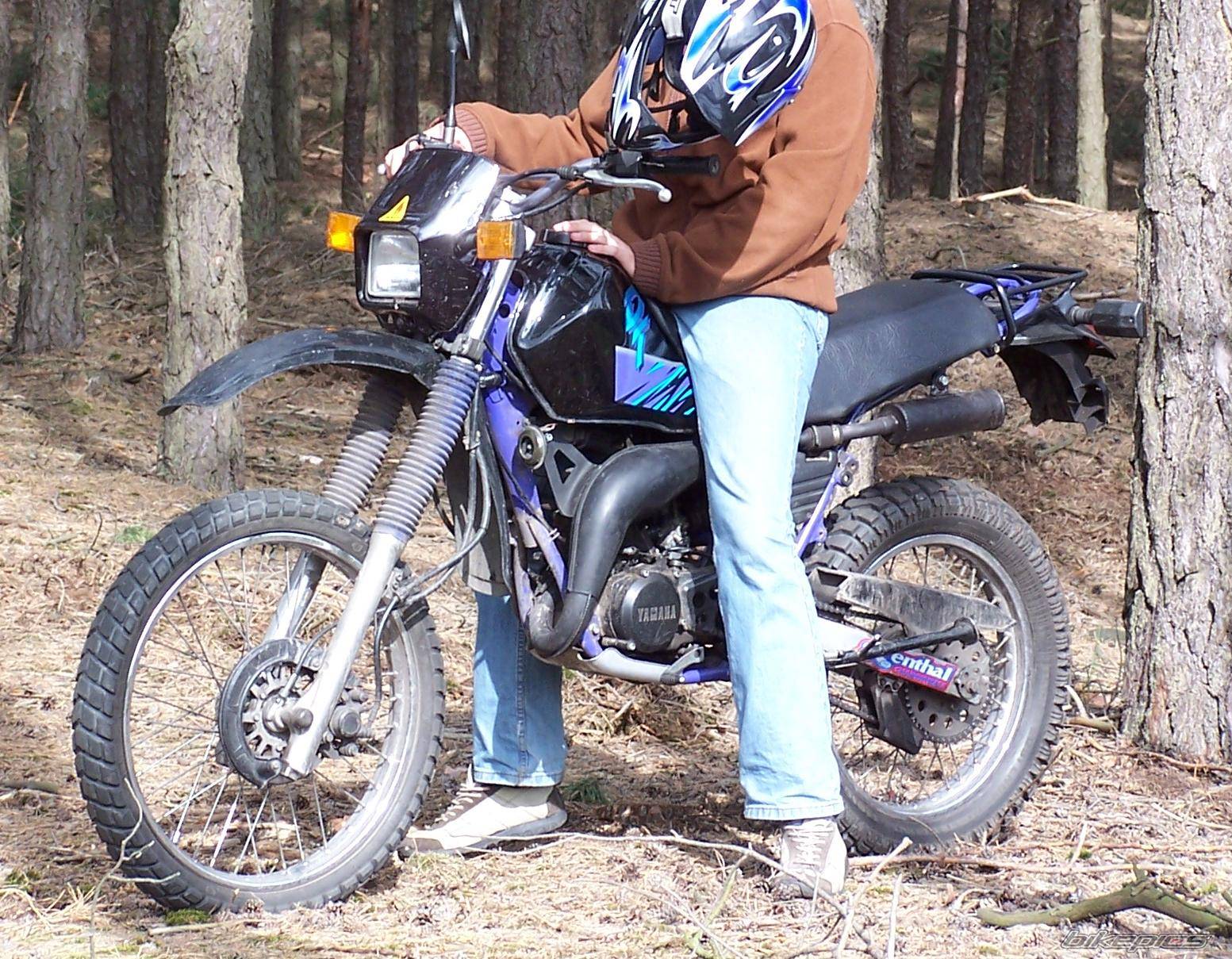 Photo 151883