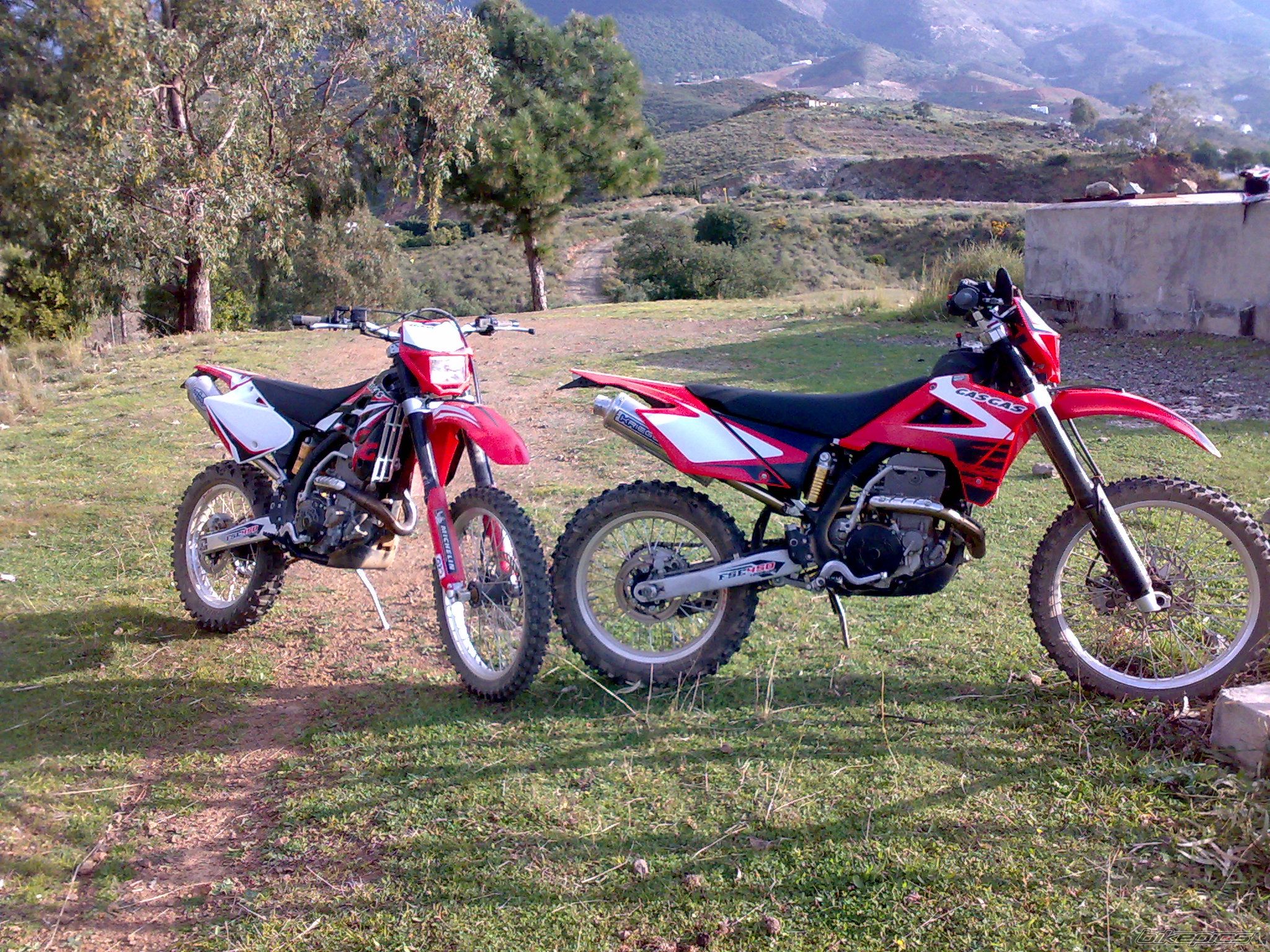 Photo 1518887