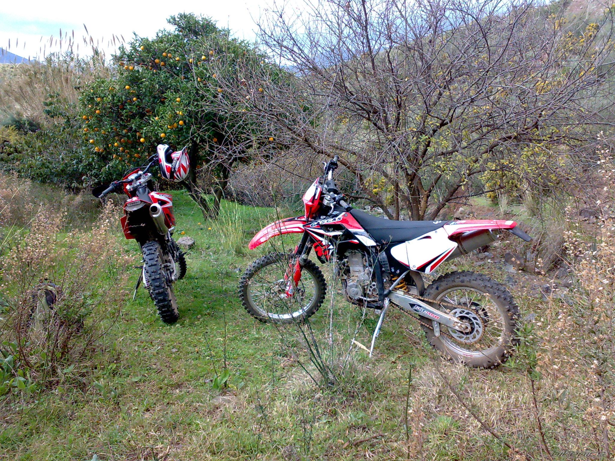 Photo 1518901