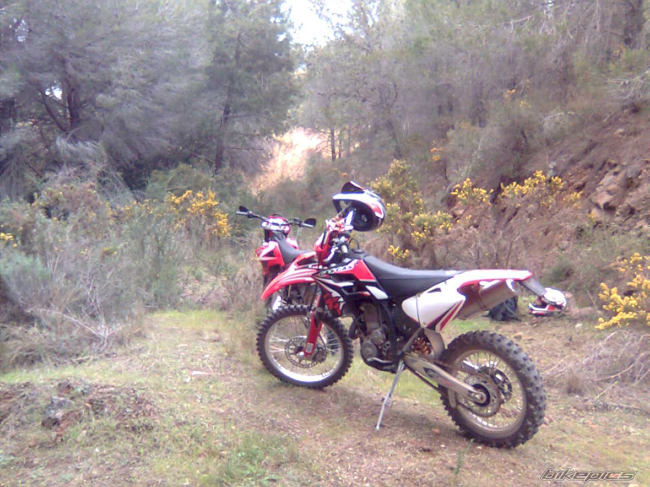 Photo 1518904