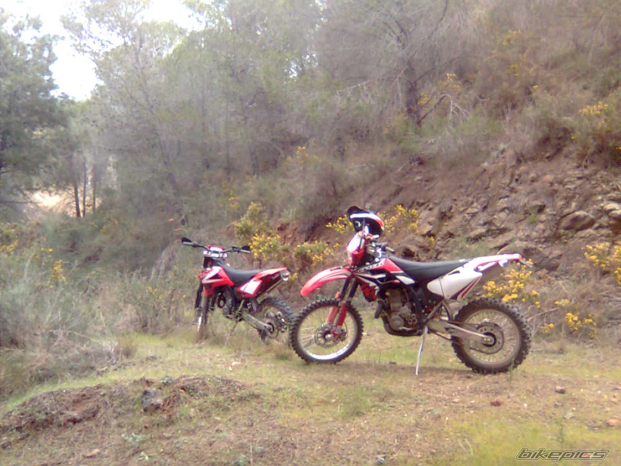 Photo 1518905