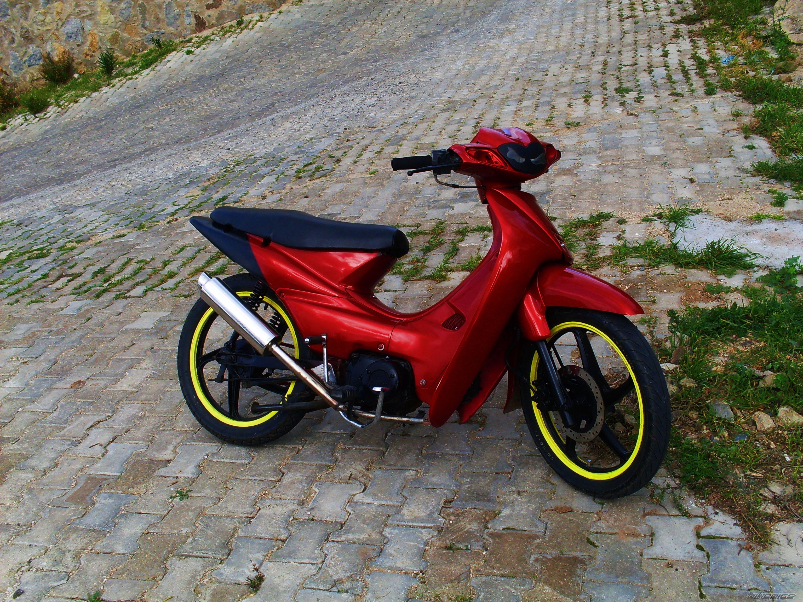 Photo 1518974