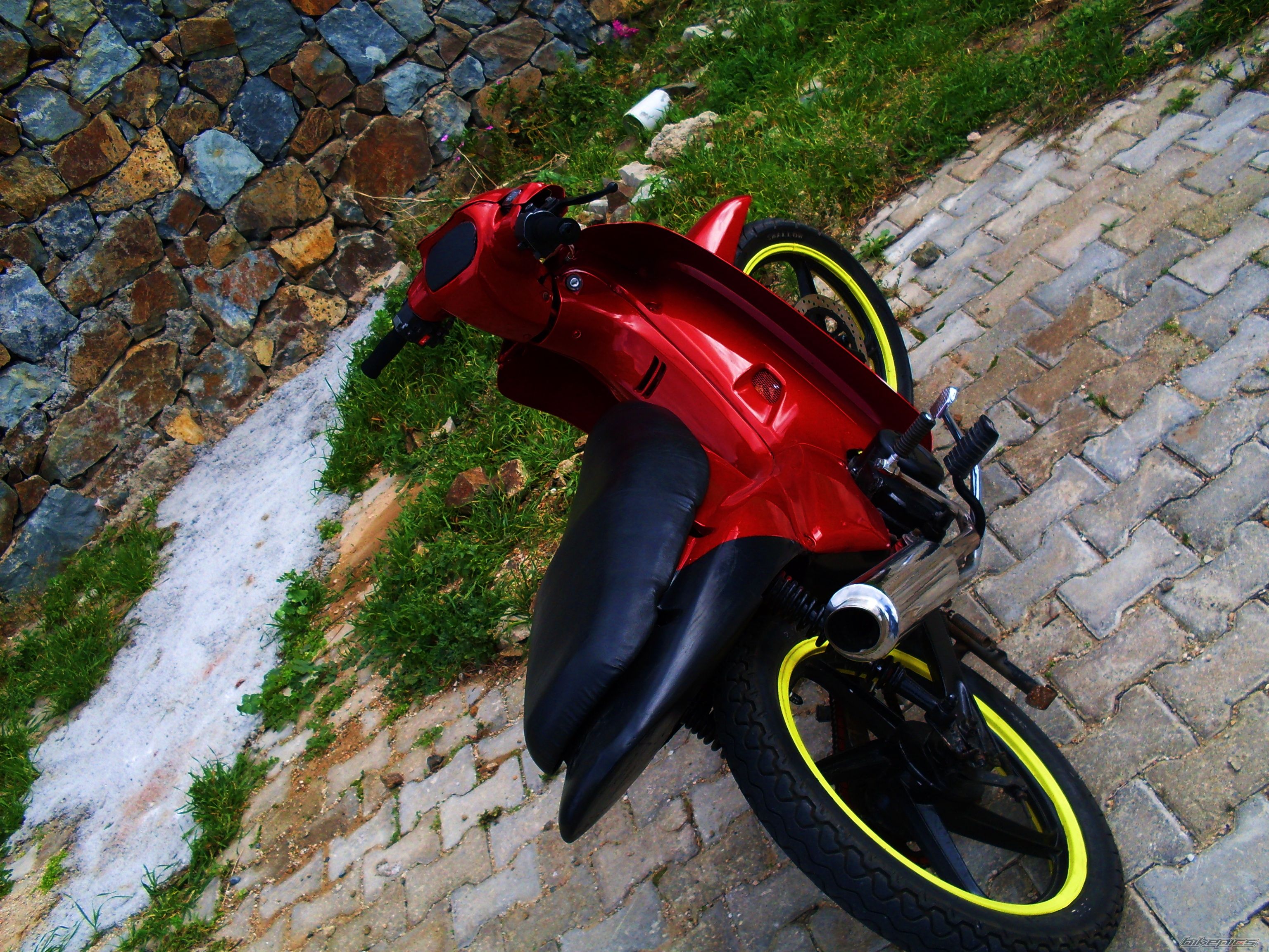 Photo 1518977