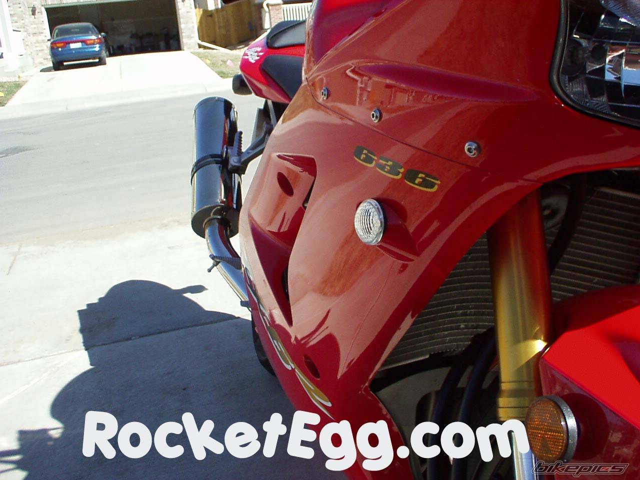 Photo 151898