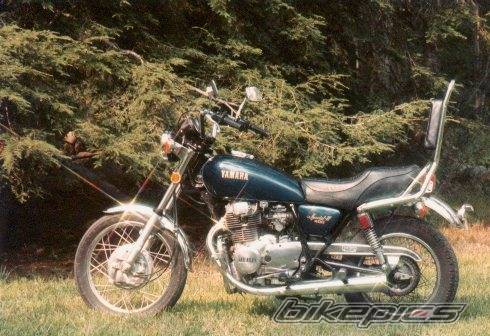 Photo 151902