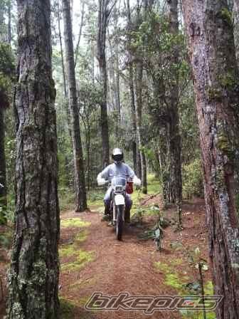 Bike Photo 1519055