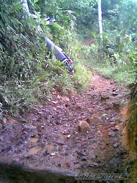 Photo 1519064