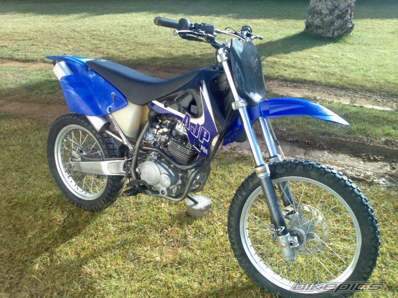 Photo 1519125