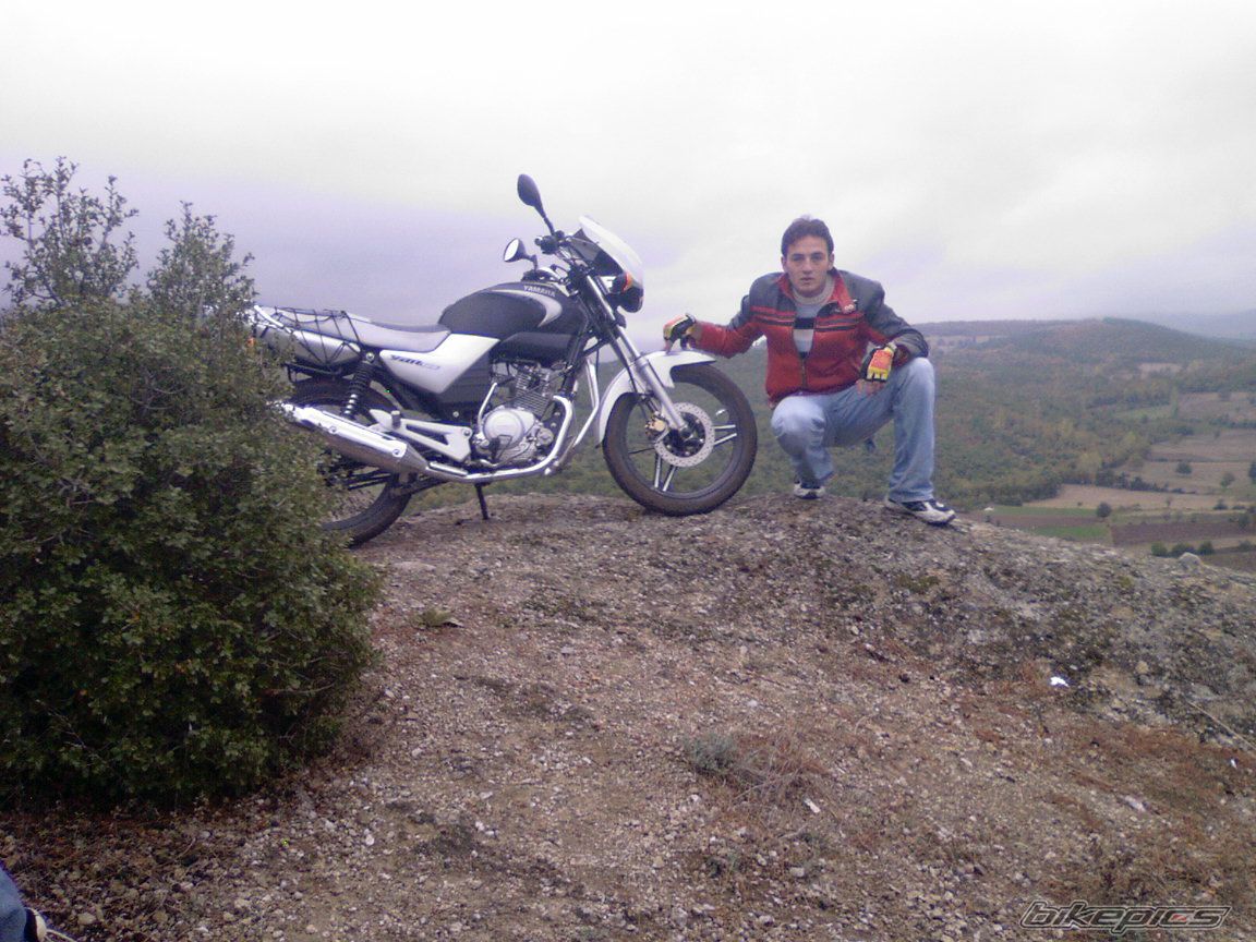 Photo 1519132