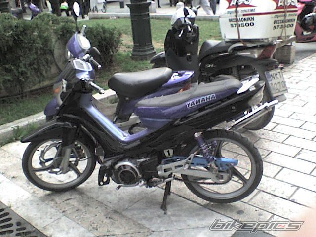 Photo 1519135