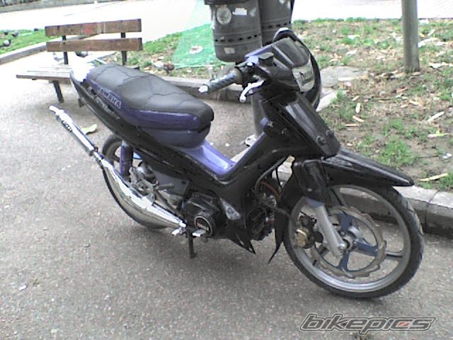 Photo 1519137