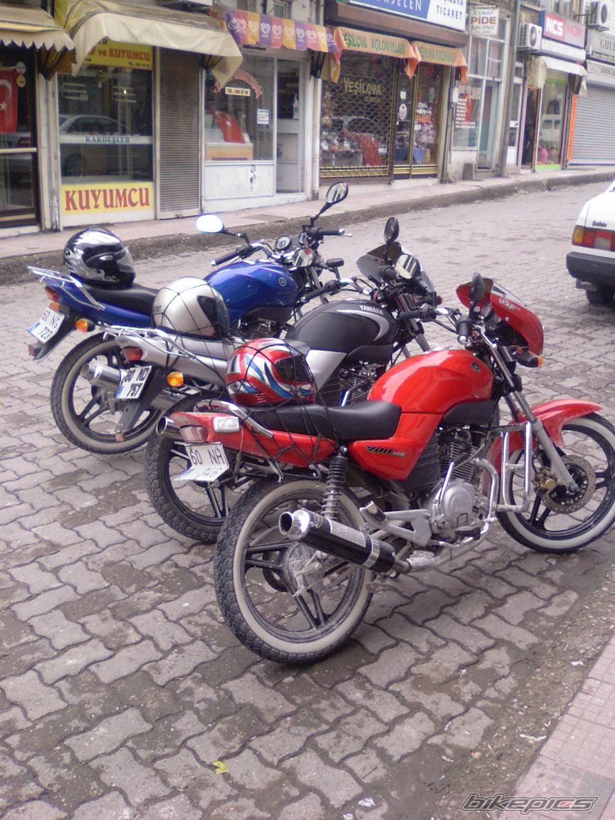 Photo 1519147