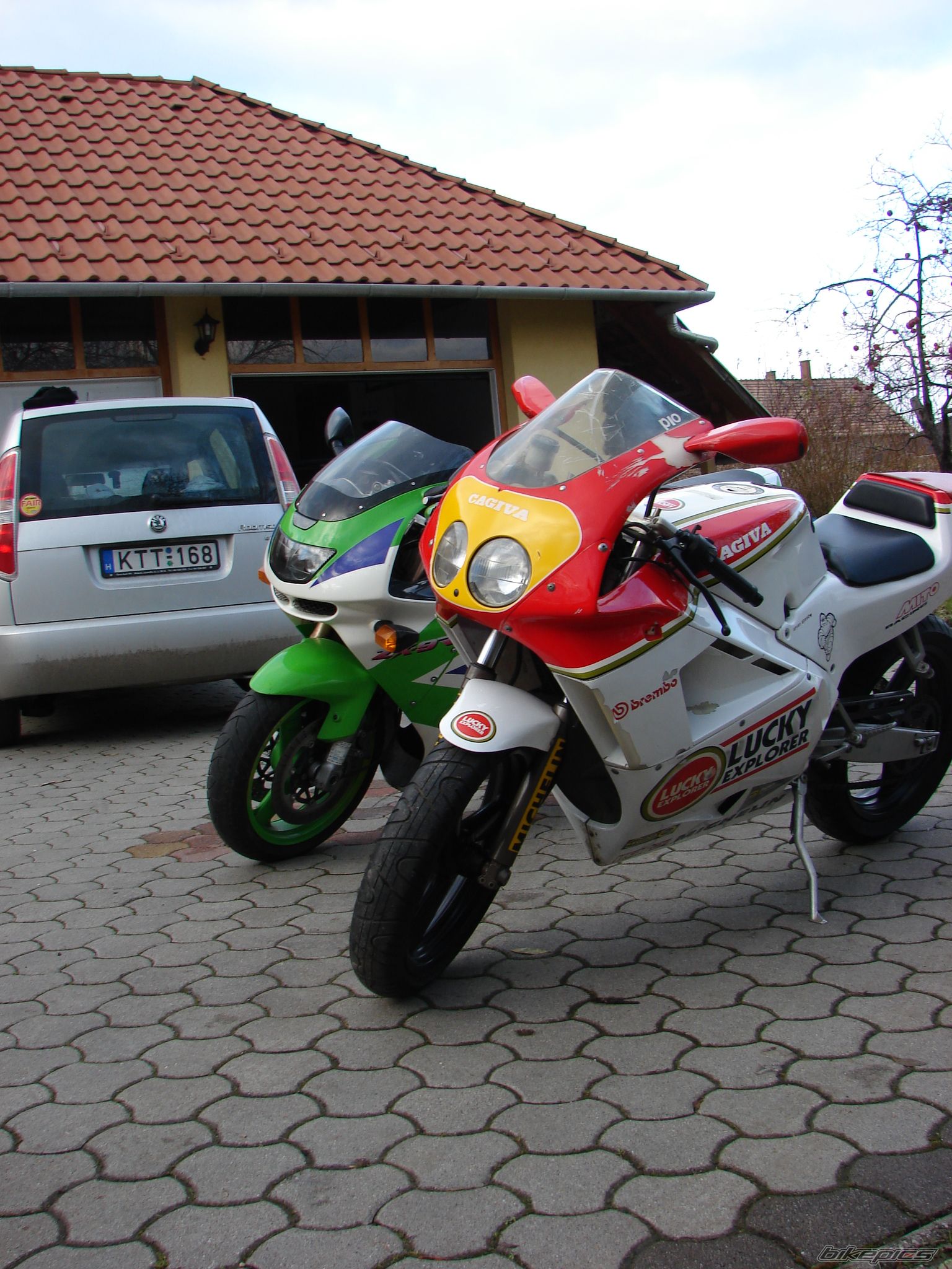 Photo 1519221