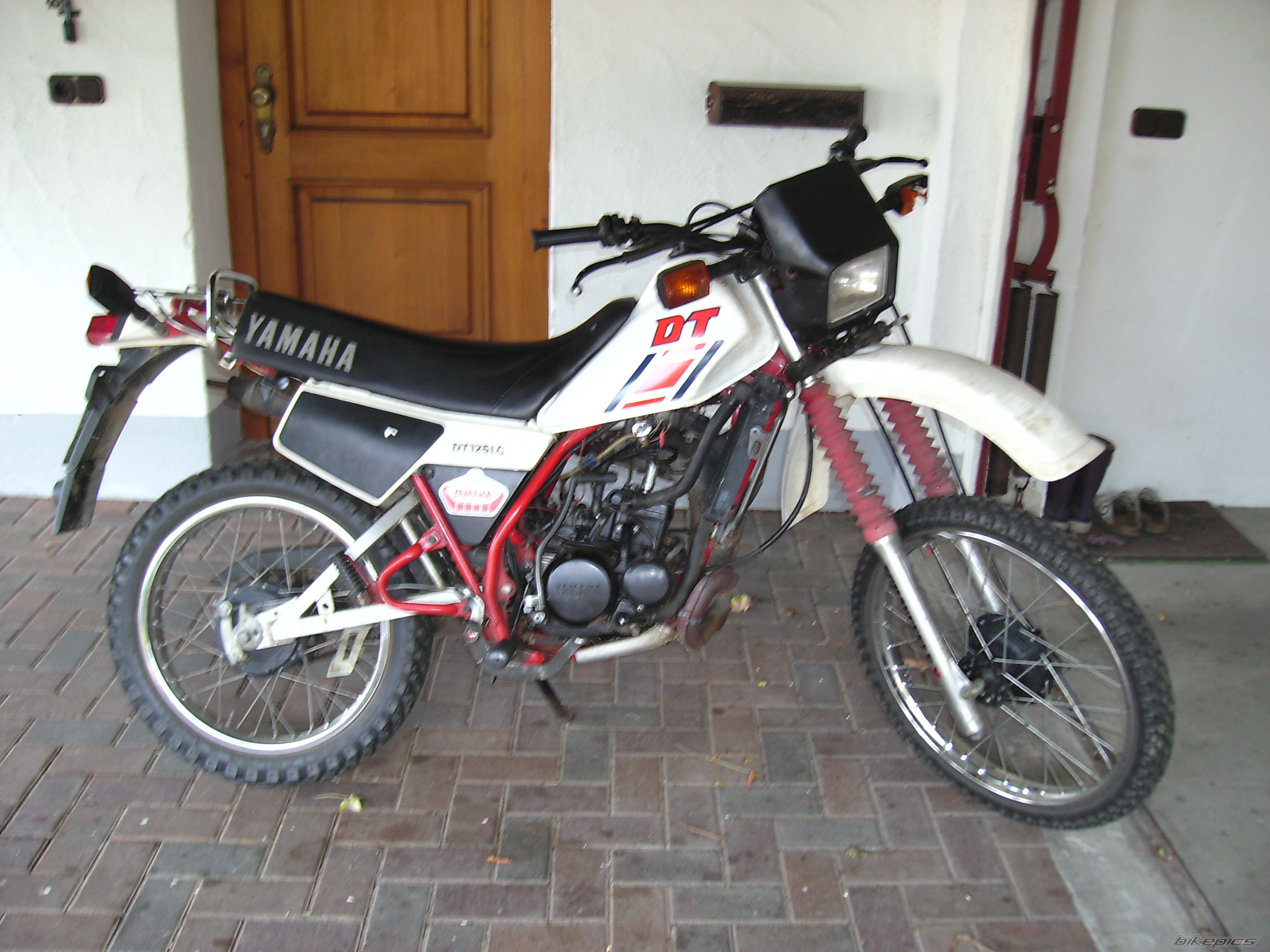 Photo 1519256