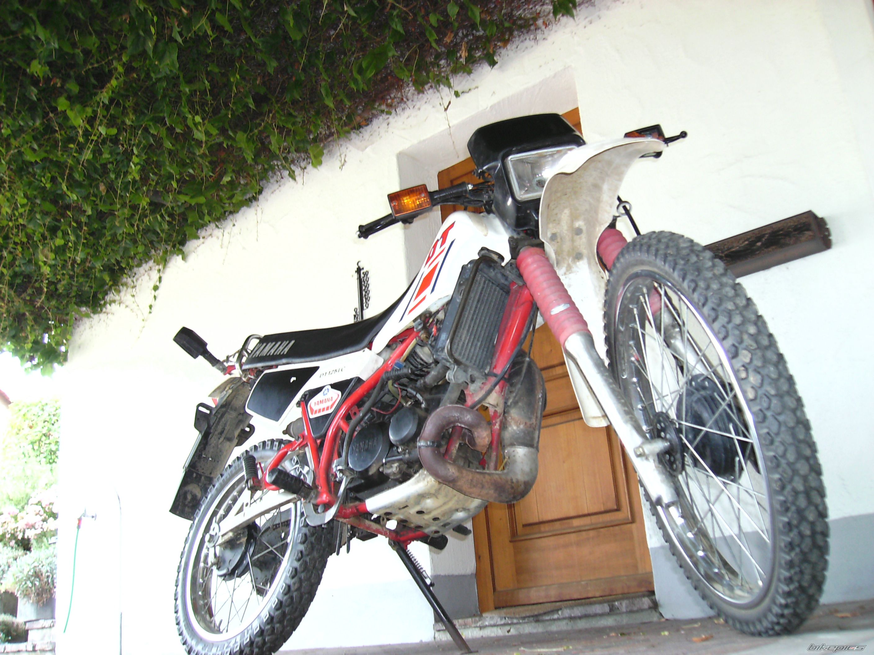 Photo 1519257