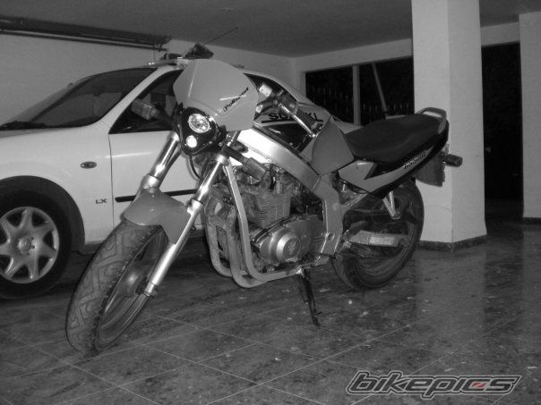 Photo 1519263