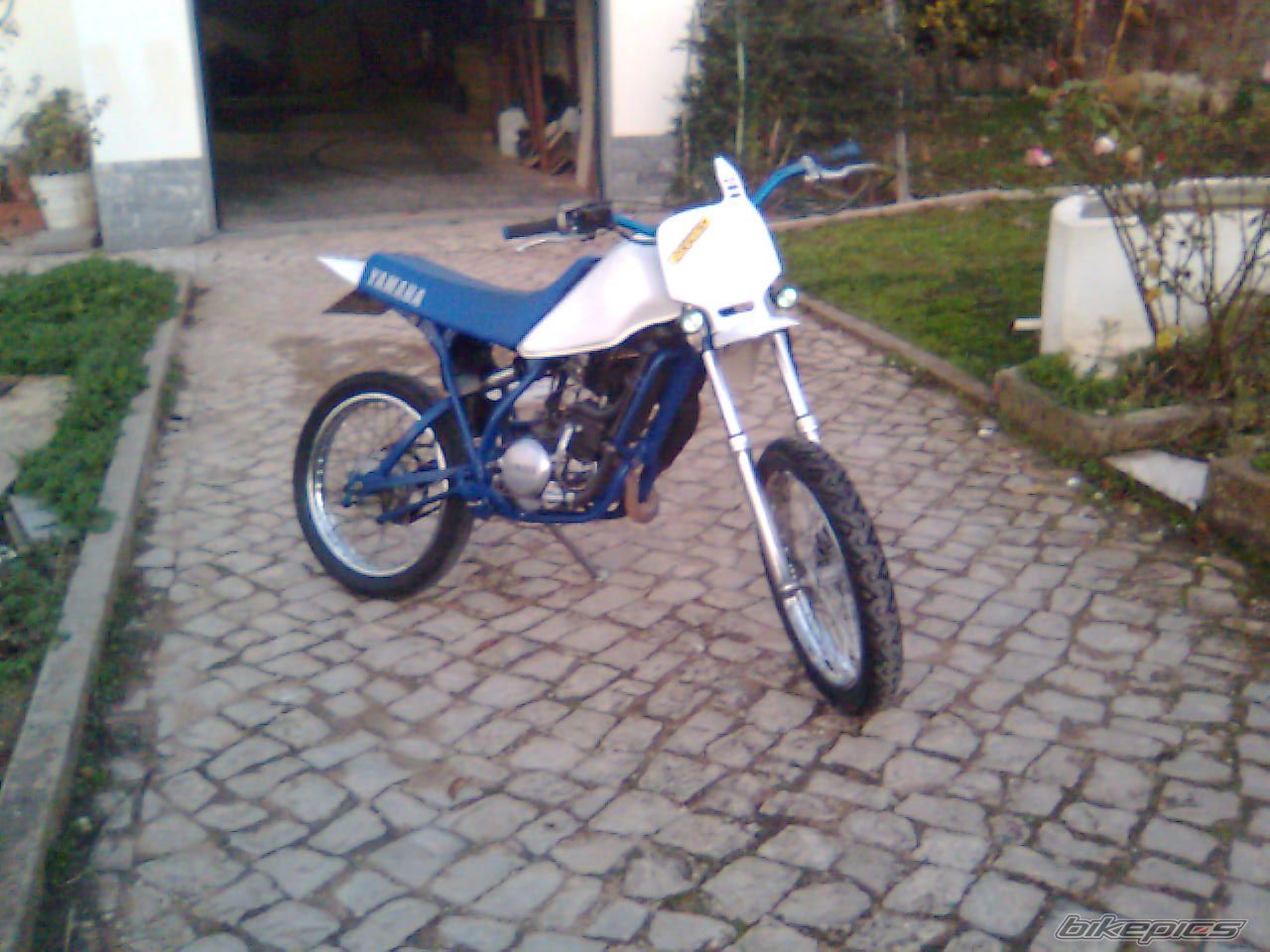 Photo 1519268