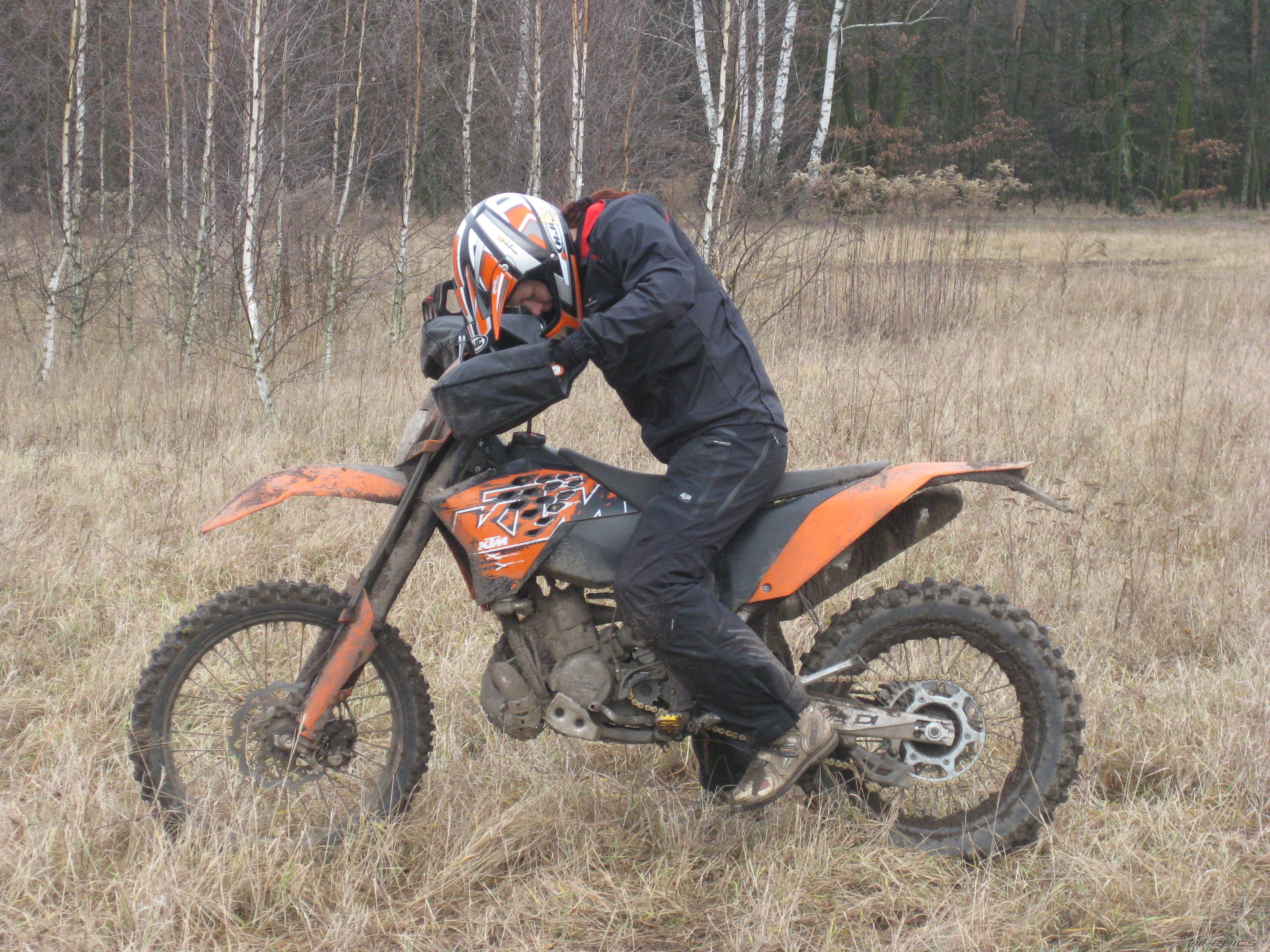 Photo 1519279