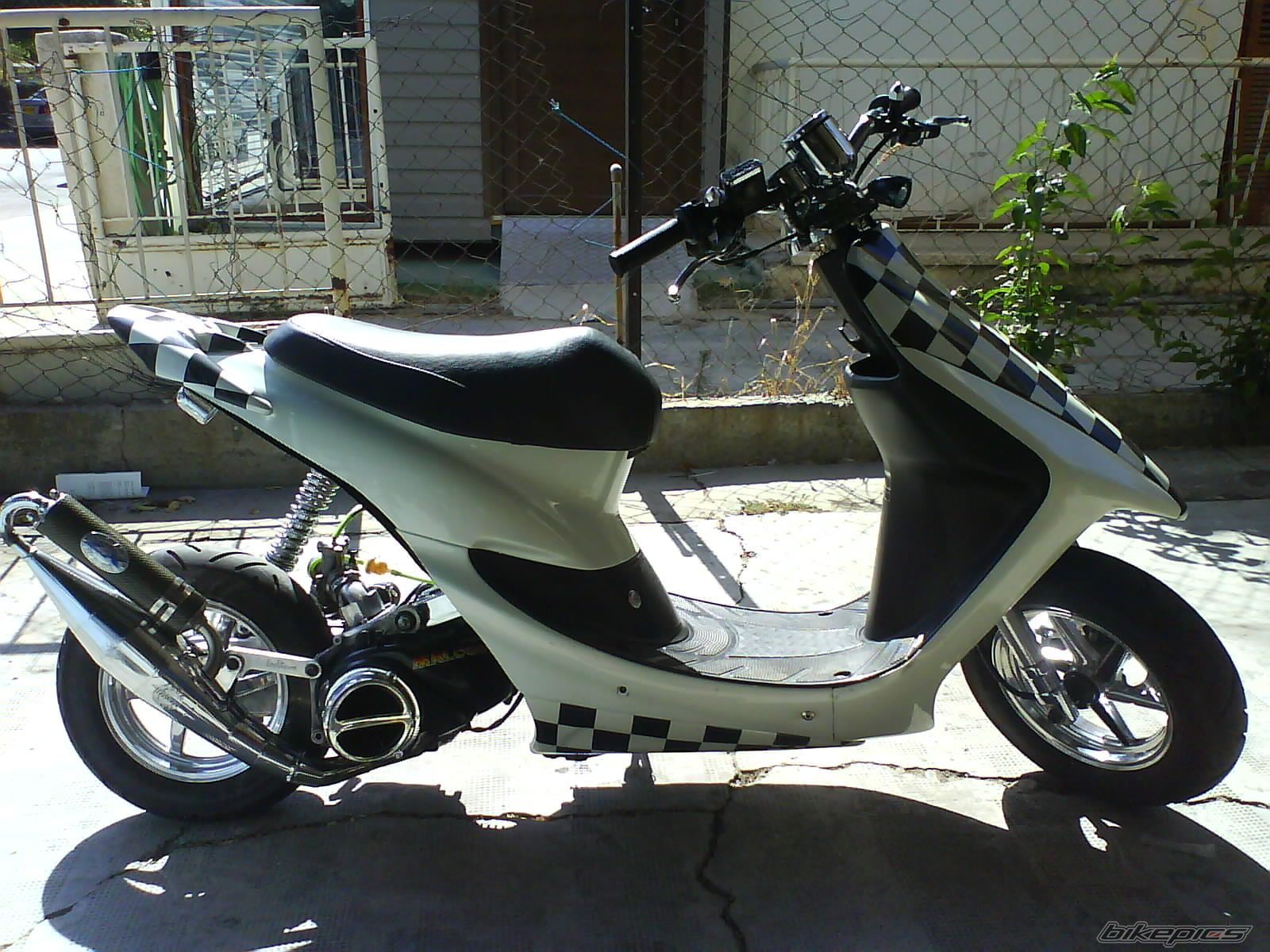 Photo 1519323