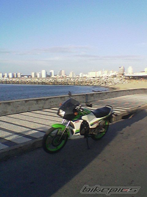 Photo 1519333