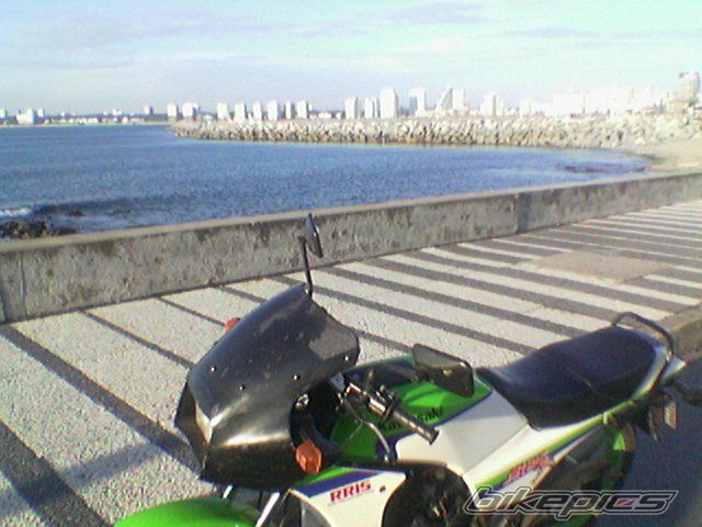 Photo 1519334