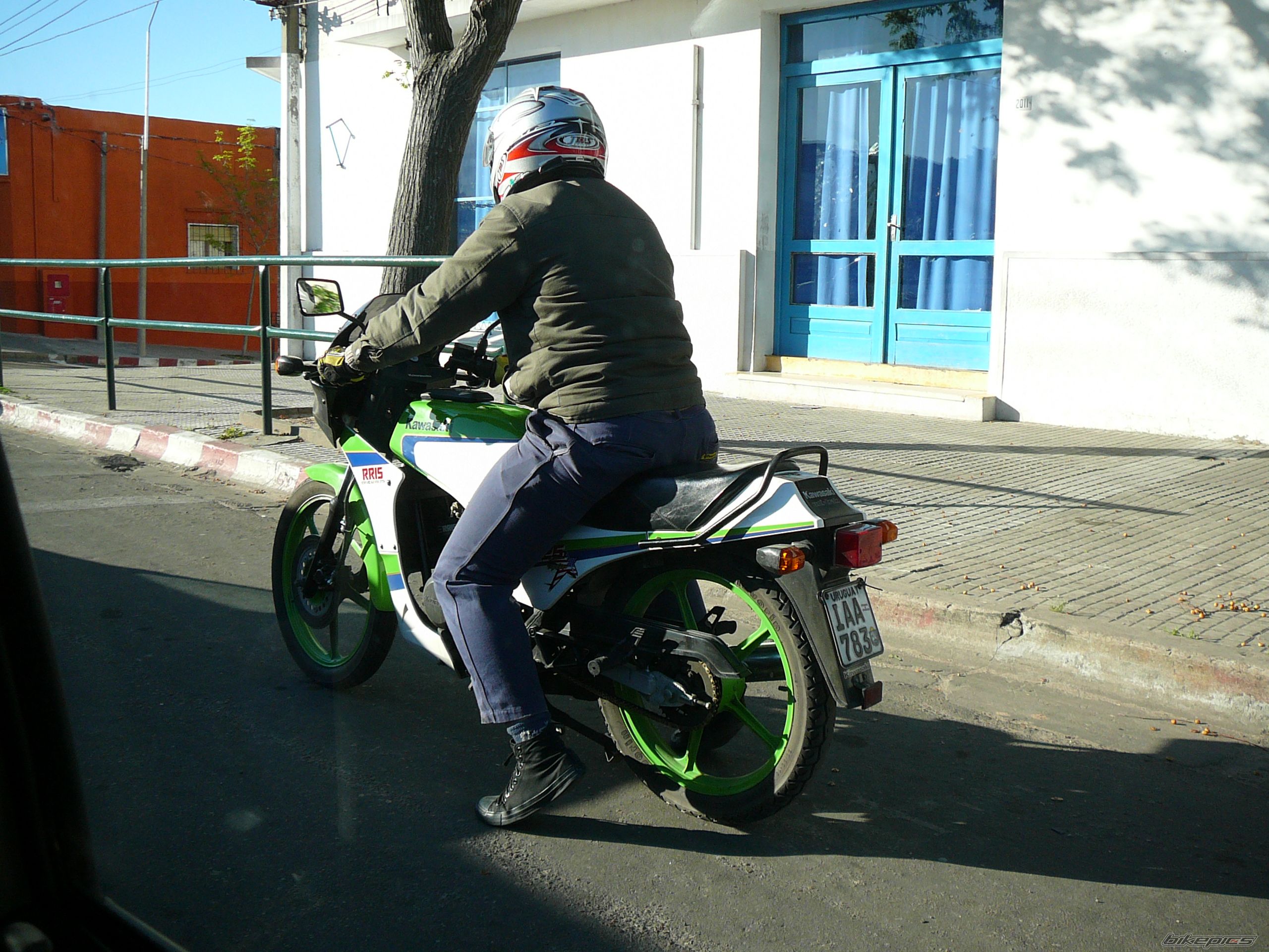 Photo 1519335