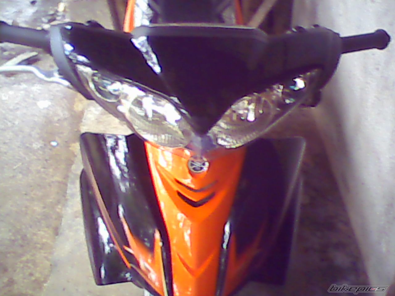Photo 1519355
