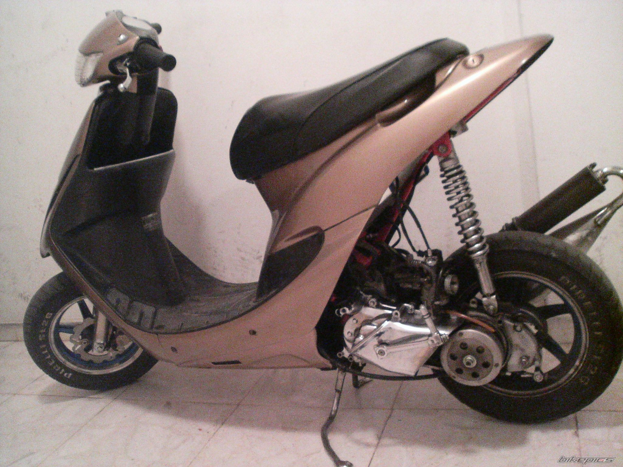 Photo 1519397