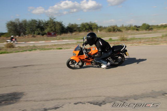 Photo 1519398