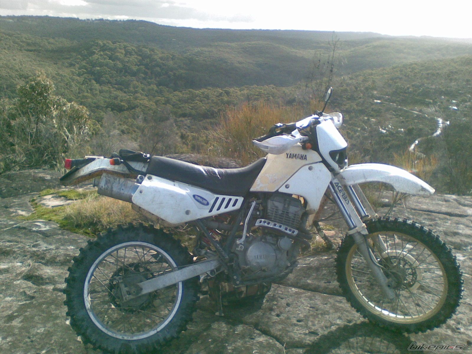 Photo 1519403