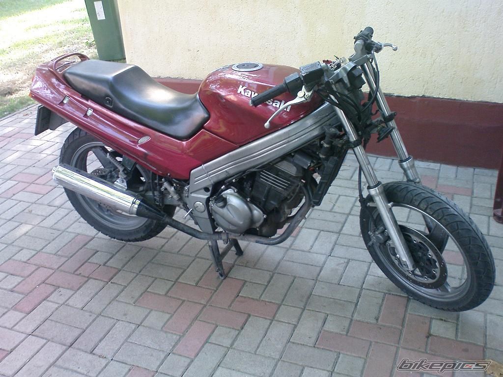 Photo 1519407