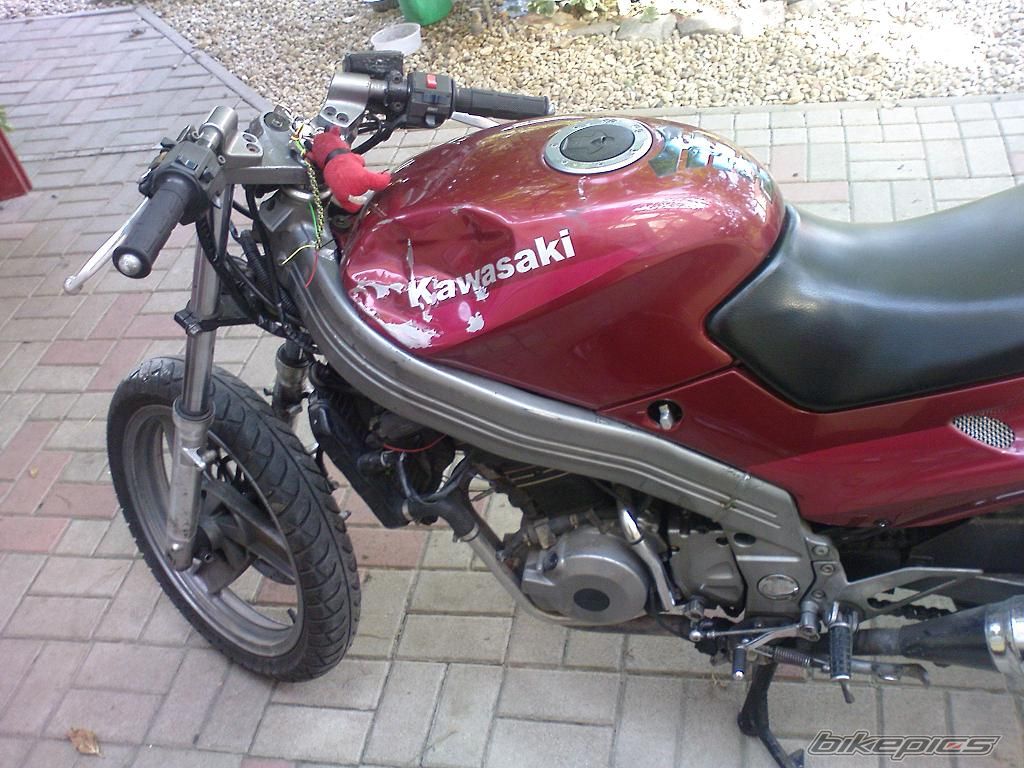 Photo 1519408