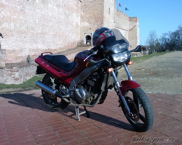 Photo 1519411