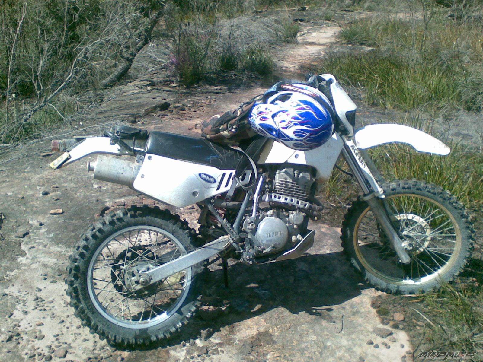 Bike Photo 1519416